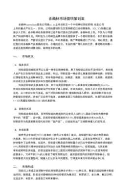 舍曲林市場(chǎng)營(yíng)銷策劃案 重塑品牌定位，深耕細(xì)分市場(chǎng)